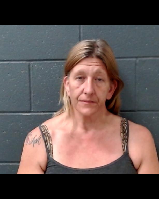 JARNAGIN, JULIE KAY booking photo
