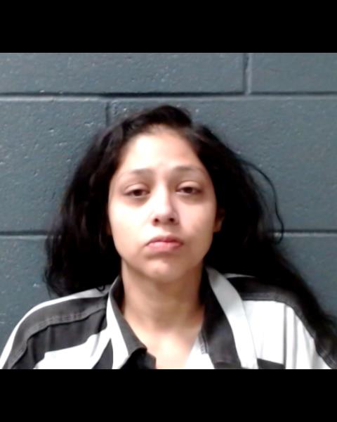 HERNANDEZ, ADRIANA MARIE booking photo