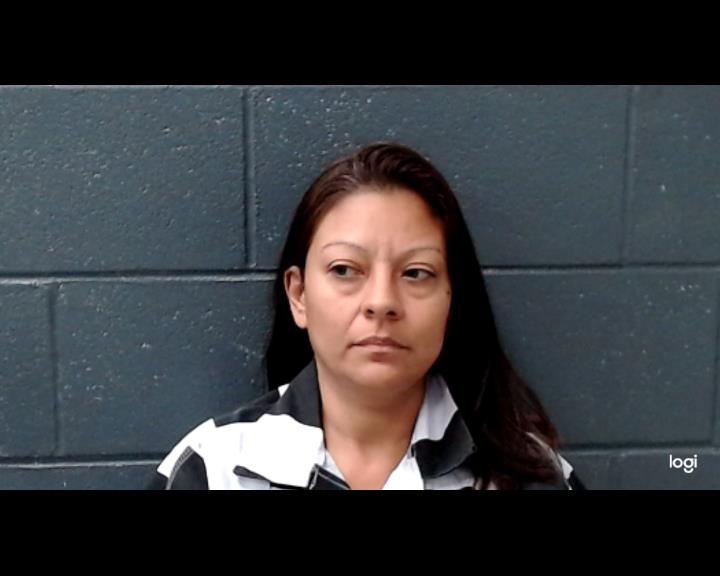 GONZALEZ, ERIKA booking photo