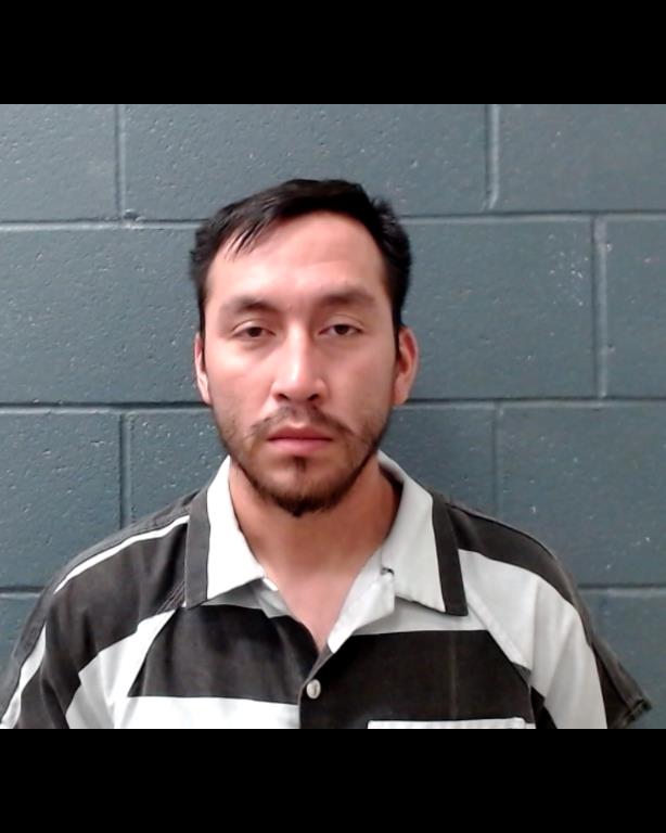 SANCHEZ, LUIZ ALFREDO booking photo