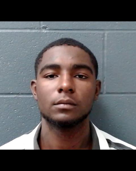 ELLIS, SAMUEL LEANTRINE, Jr. booking photo