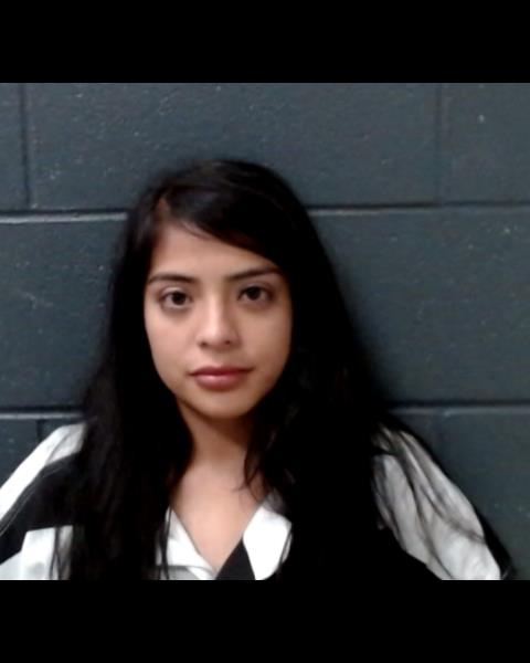 IBARRA, HAYLEY booking photo