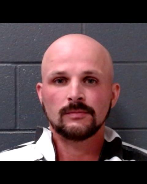 METCALF, SHAWN ELMER booking photo