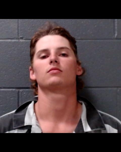 DANMIER, TREVOR WILLIAM booking photo