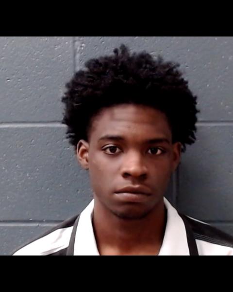 WOODARD, THOMAS STEDHAM booking photo