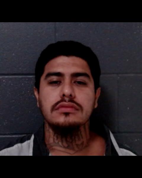 RODRIGUEZ, NICHOLAS LEE booking photo