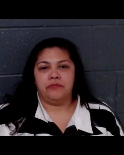 CASTRO, NINA ROXANN booking photo