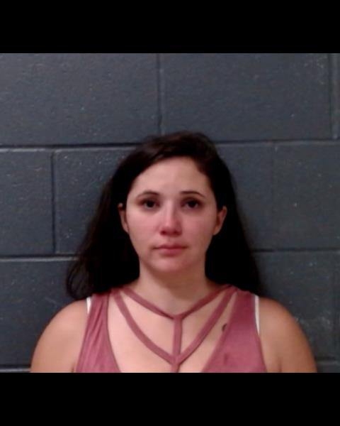 HOLLEY, TIFFANY MICHELLE booking photo
