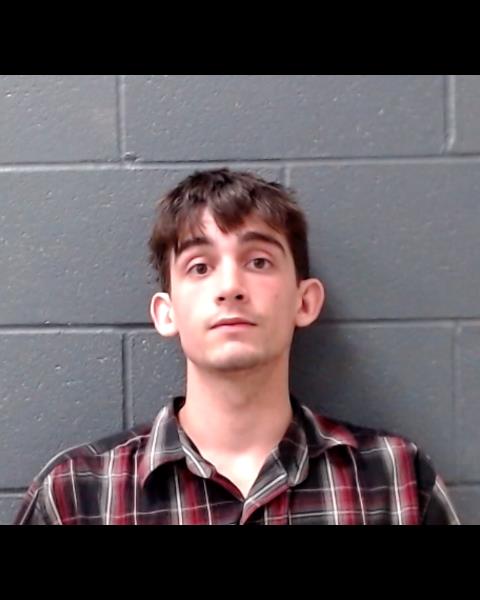 WEBB, DYLAN CLAY booking photo