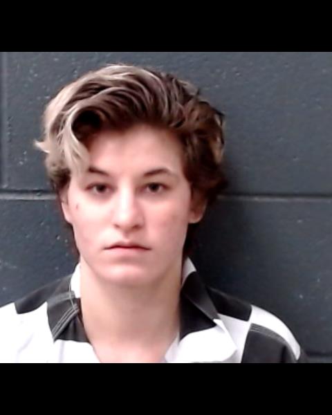 BEORN, TAYLOR MICHELLE booking photo