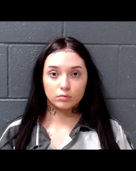 LOPEZ, ADELINA ARIEL booking photo
