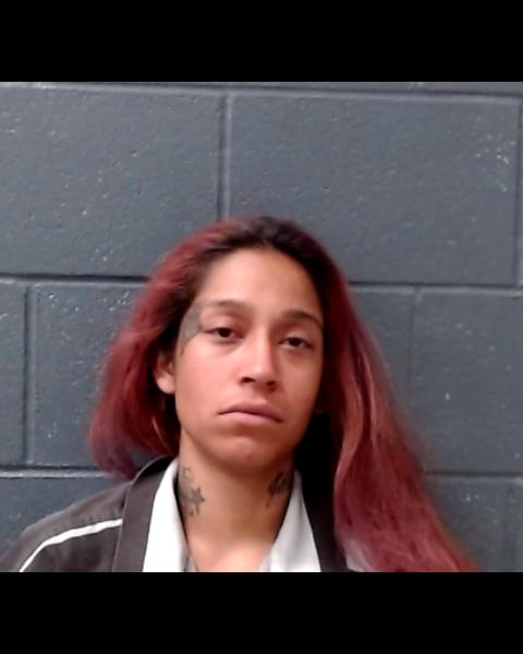 REYES, HAILEY RANA booking photo