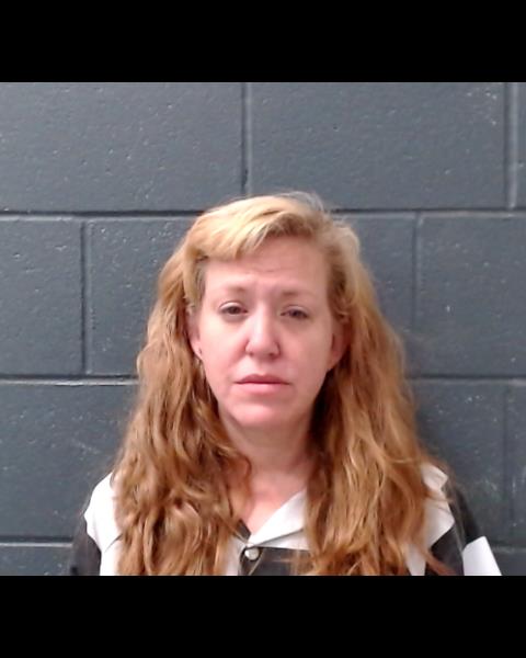 SANCHEZ, YVONNE MARIE booking photo