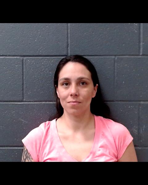 YOUNG, AMANDA KAY booking photo