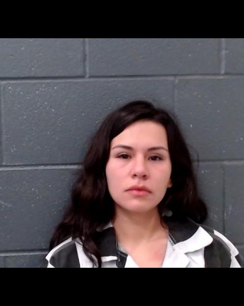 PATLAN, VENUS MICHELLE booking photo