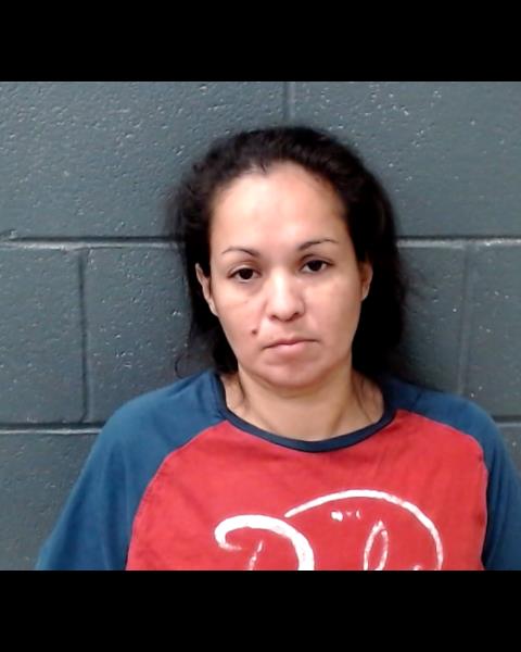 DIAZ, ANNA MARIE booking photo