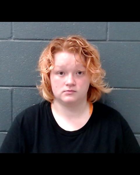 COLLINS, MAGENTA ROSE booking photo