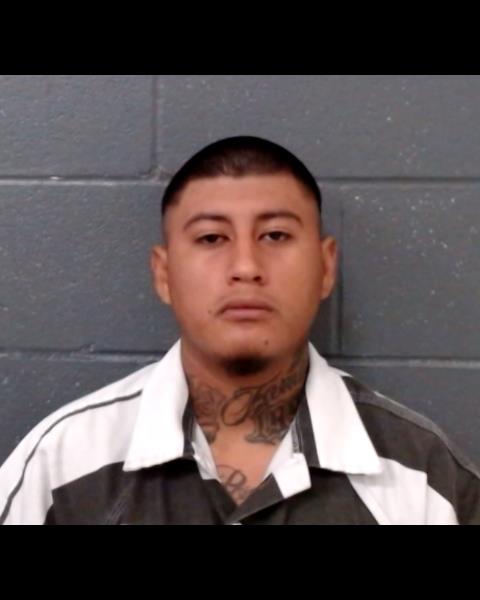 CARVAJAL-PEREZ, ROGELIO ANTONIO booking photo