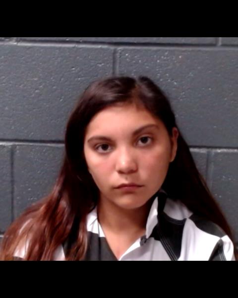 CASTILLO, ASHLYNN MARIE booking photo