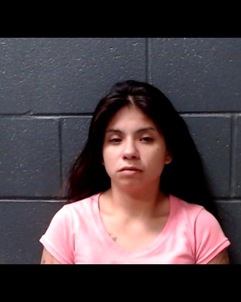 OCHOA, LINDA RAYE booking photo