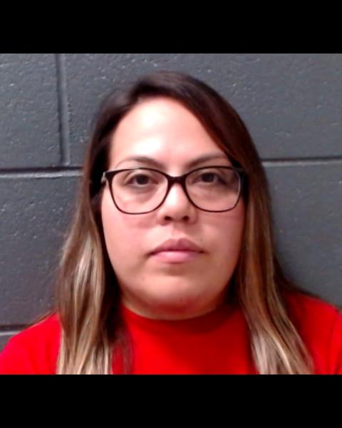 CASTILLO FLORES, ADRIANA C booking photo