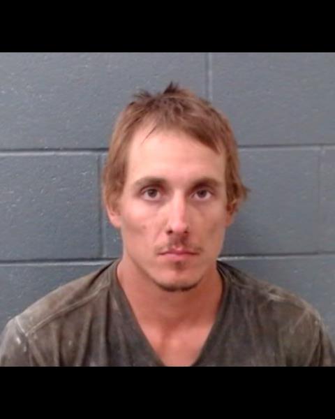 BRISCO, STEVEN PAUL booking photo