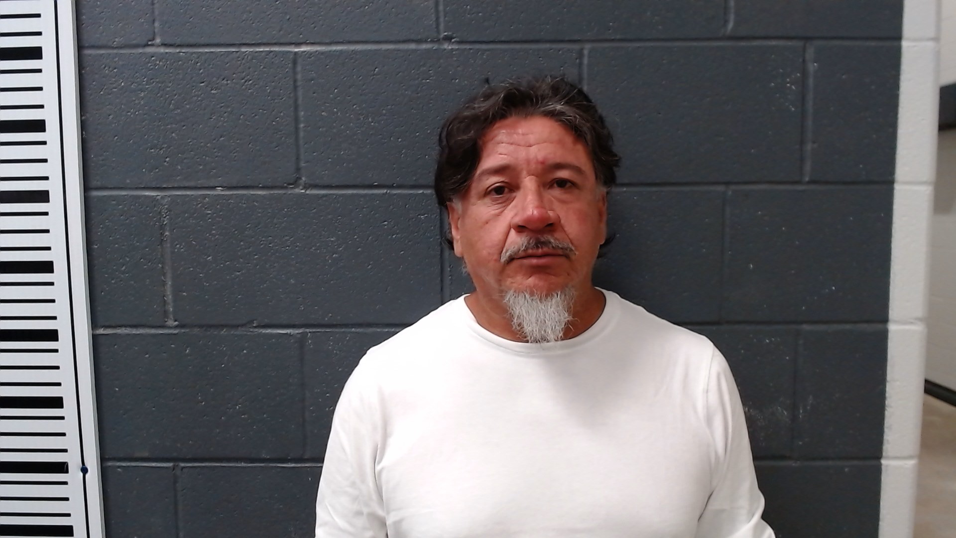 ELIZONDO, NOE MATA booking photo