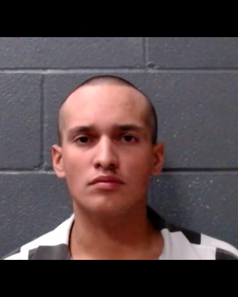 AYALA RUIZ, ARMANDO JOSE booking photo