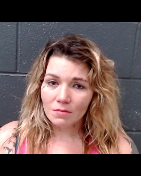 TONICK, COURTNEY LYNN booking photo