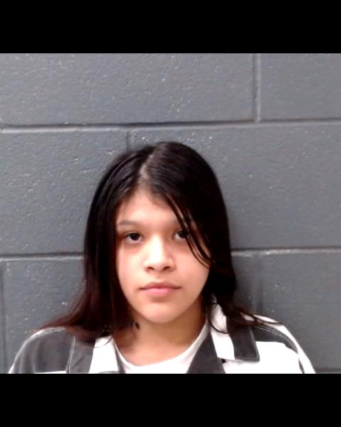 RIOS, APRIL booking photo