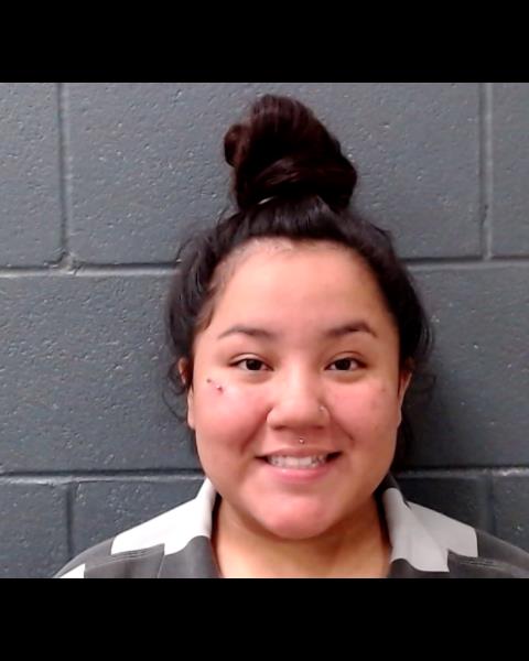 REYES, ARYIEL JUSTYNE booking photo