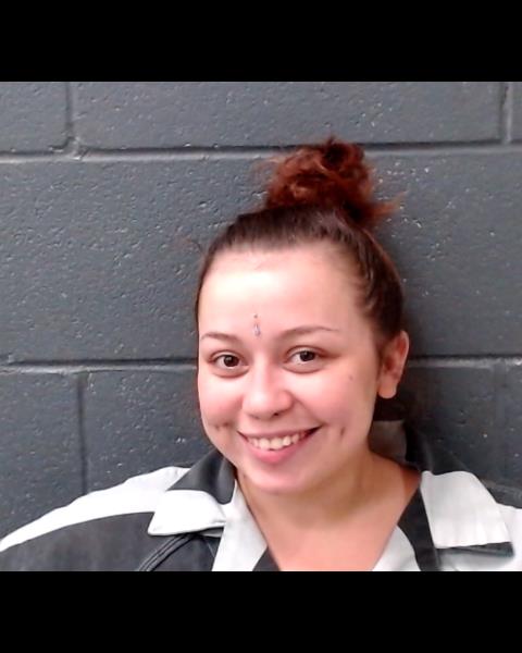 GARCIA, SHAY LYNN booking photo