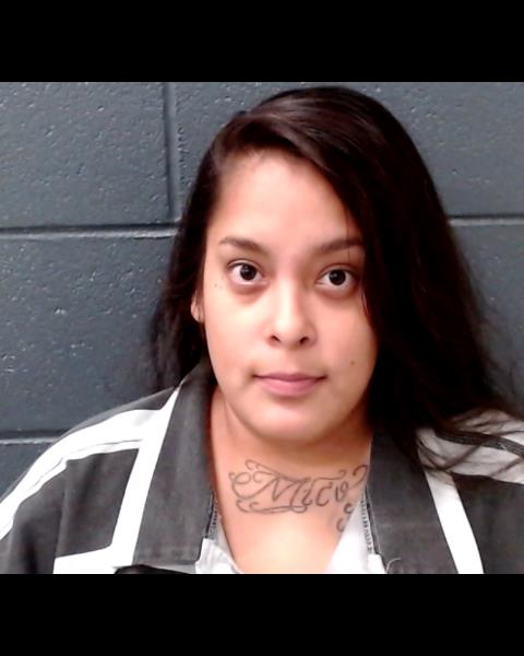 CORONADO, LAUREN MICHELLE booking photo