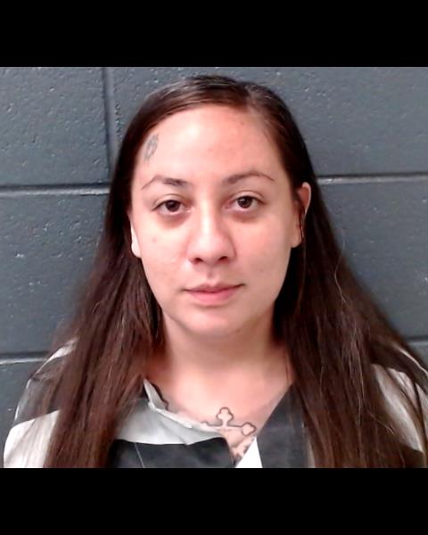 COMER, CANDACE AISLYN booking photo