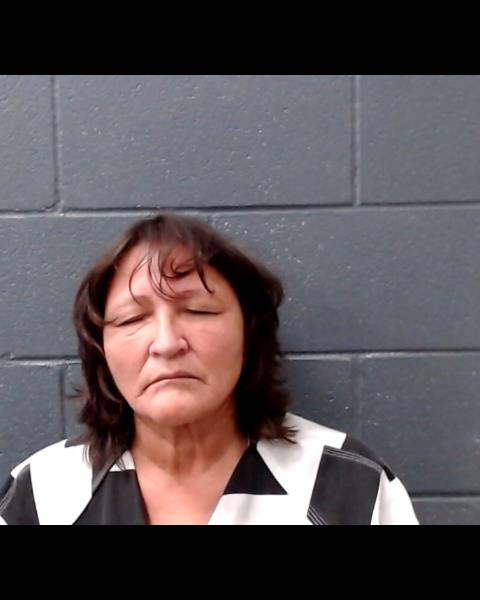 HUBER, KIMBERLY ANN booking photo