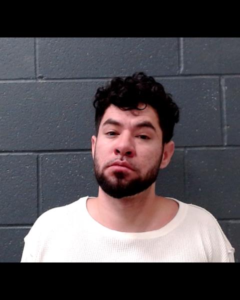 GONZALES, JESSE, III booking photo