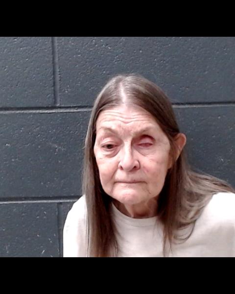 NOLL, DEBRA LEONARD booking photo