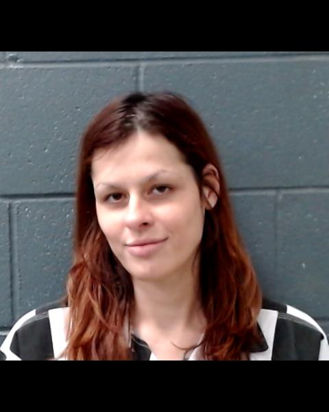 HANSON, ASHLEY LEEANN booking photo
