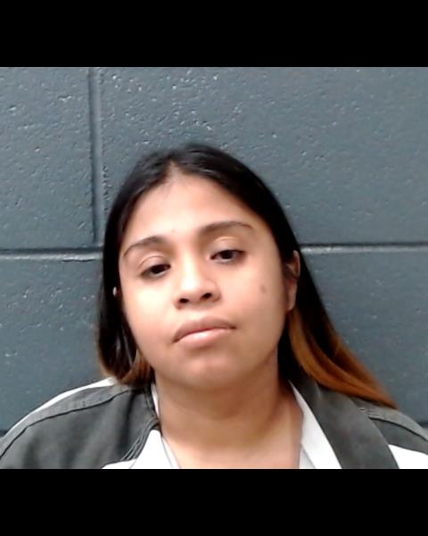 REYES, ANN MARIE booking photo