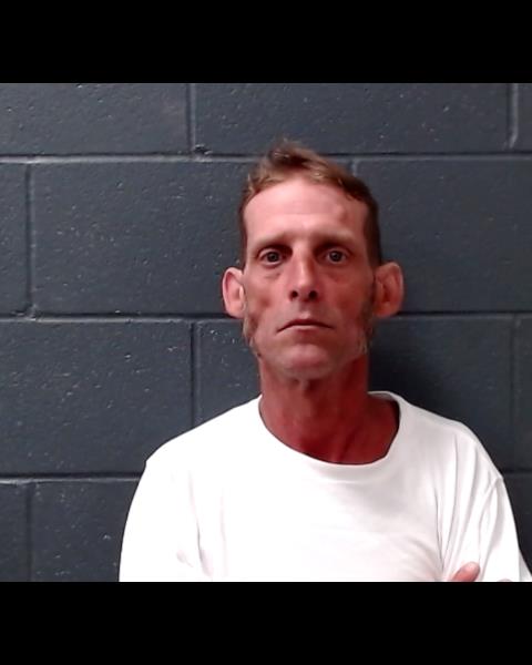 JOHNSON, GERALD LYN booking photo