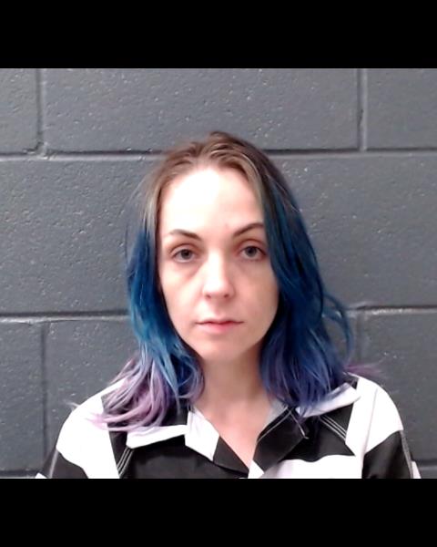 DIRCK, DAKOTA RENEE booking photo