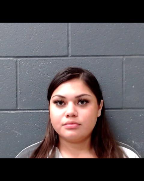 TIJERINA, VIVIAN booking photo