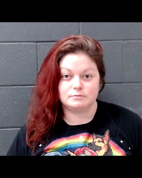 HAYES, KAYLEY LYNN booking photo