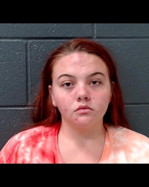 STEPHENSON, REACHEL SUZETTE booking photo