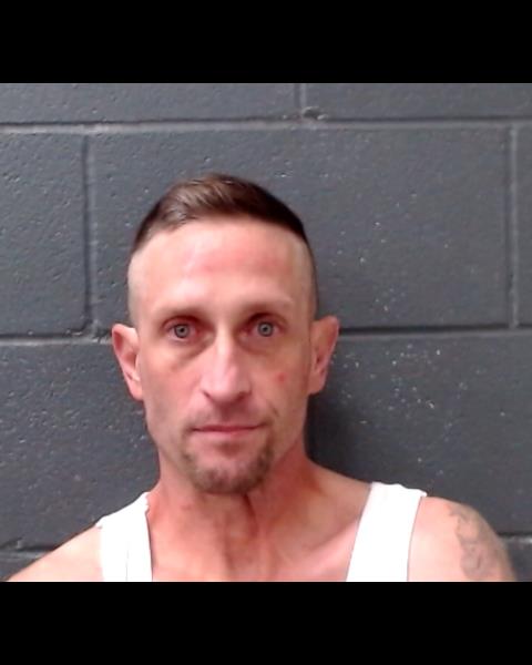 WILLIS, ROBERT booking photo