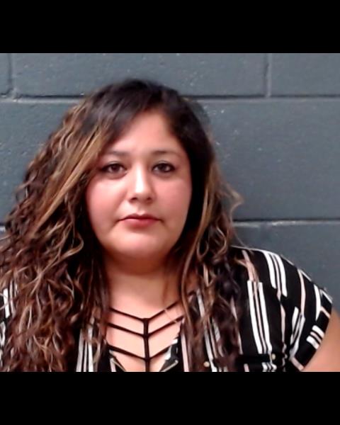 DAVILA, ANGEL LYNN booking photo