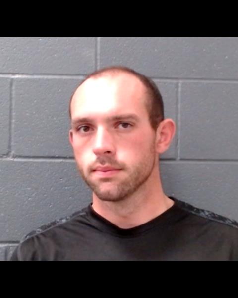 YOUNG, LANE MITCHELL booking photo