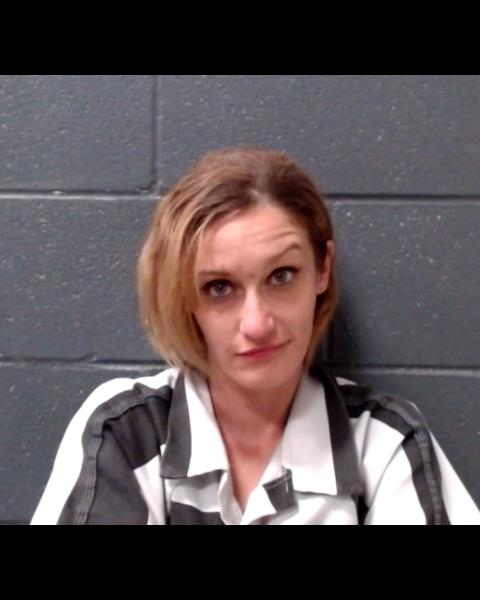 MCDANIEL, LAUREN HUNTER booking photo