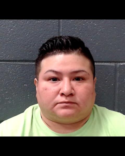 DEGOLLADO, MARIA ANTONIA booking photo
