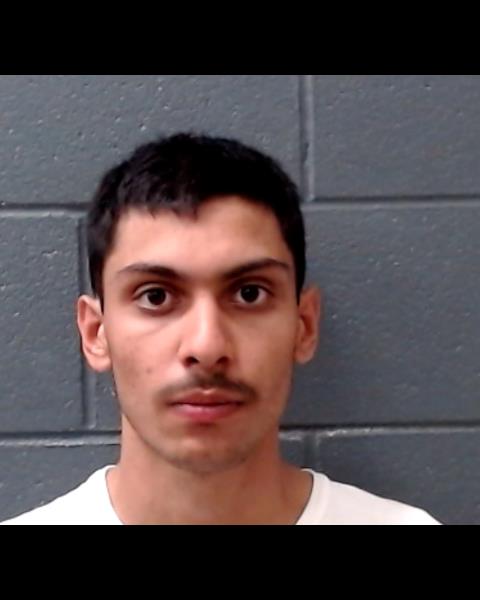 LEE, ADAM booking photo